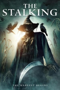 Преследование