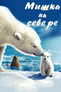 Мишка на Севере