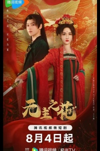 Леди-командир