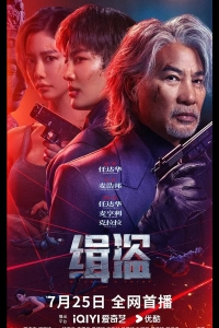 Поймать воров